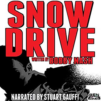 Snow Drive Cover