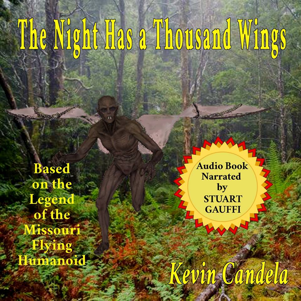 The Night Has a Thousand Wings Cover
